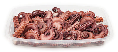 Renna Octopus