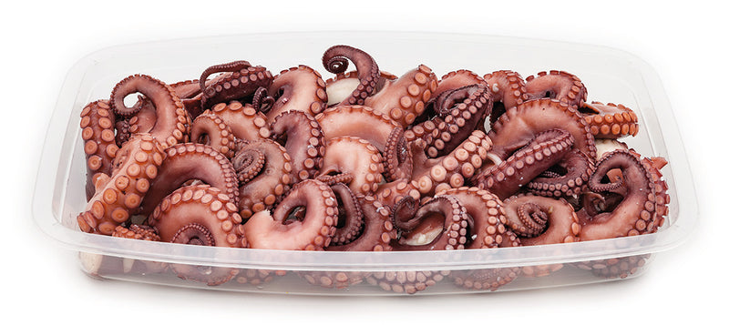 Renna Octopus
