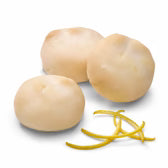 BD Lemon Drop