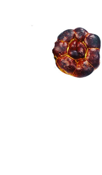 Yoni's Yoni's Traditional Pull Apart Pretzel Challah Loaf